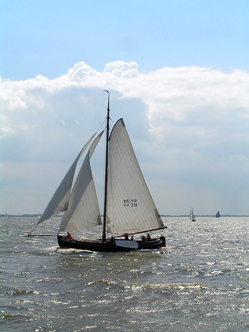 Lemsteraak_Ahoy2008 (40).jpg